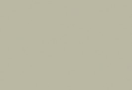 champagne-metallic