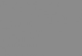 chinchilla-grey