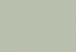 pastel-green