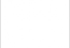 bialy_polarny_