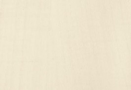 klon-bialy